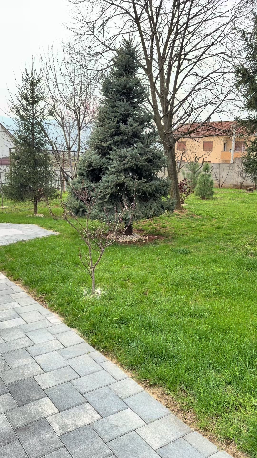@shalagarden