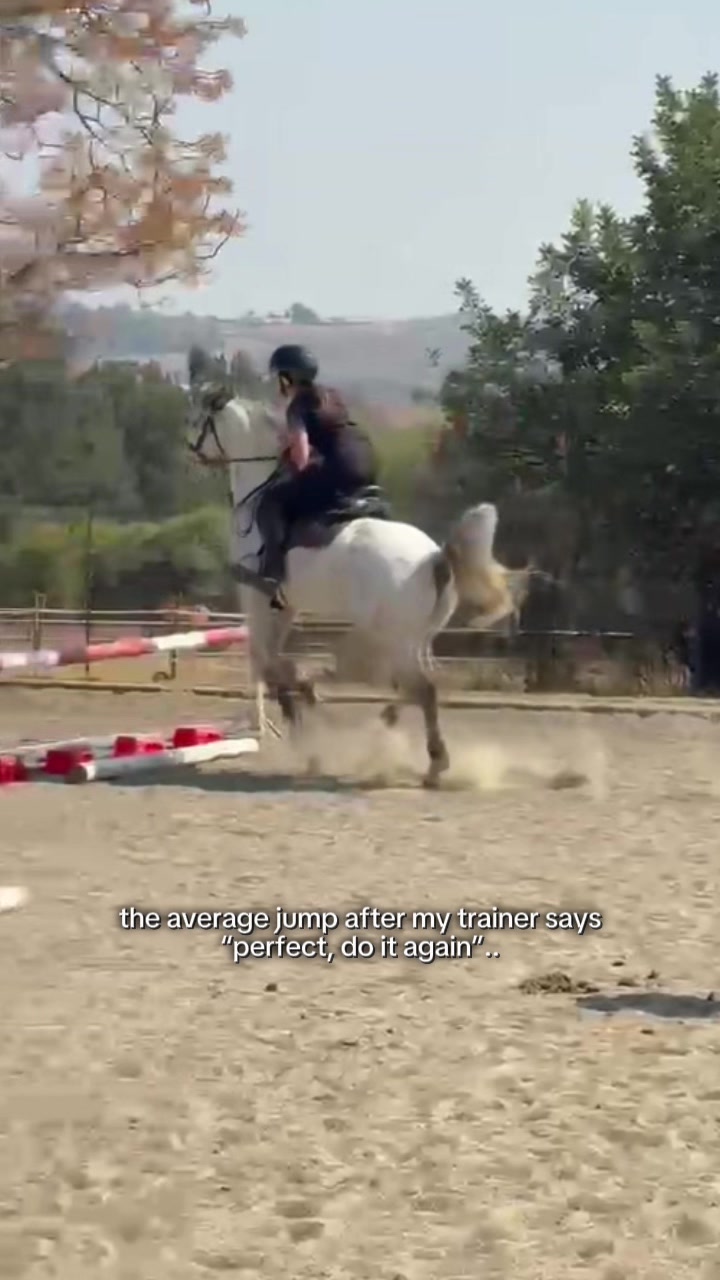 @Jay equestrian