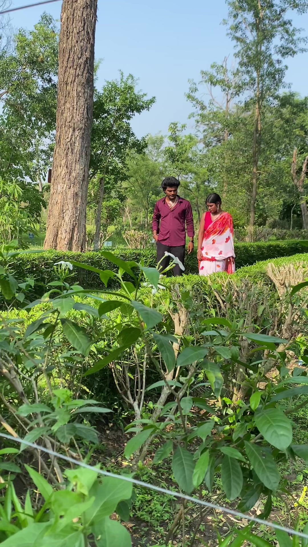 @Roshni Ji