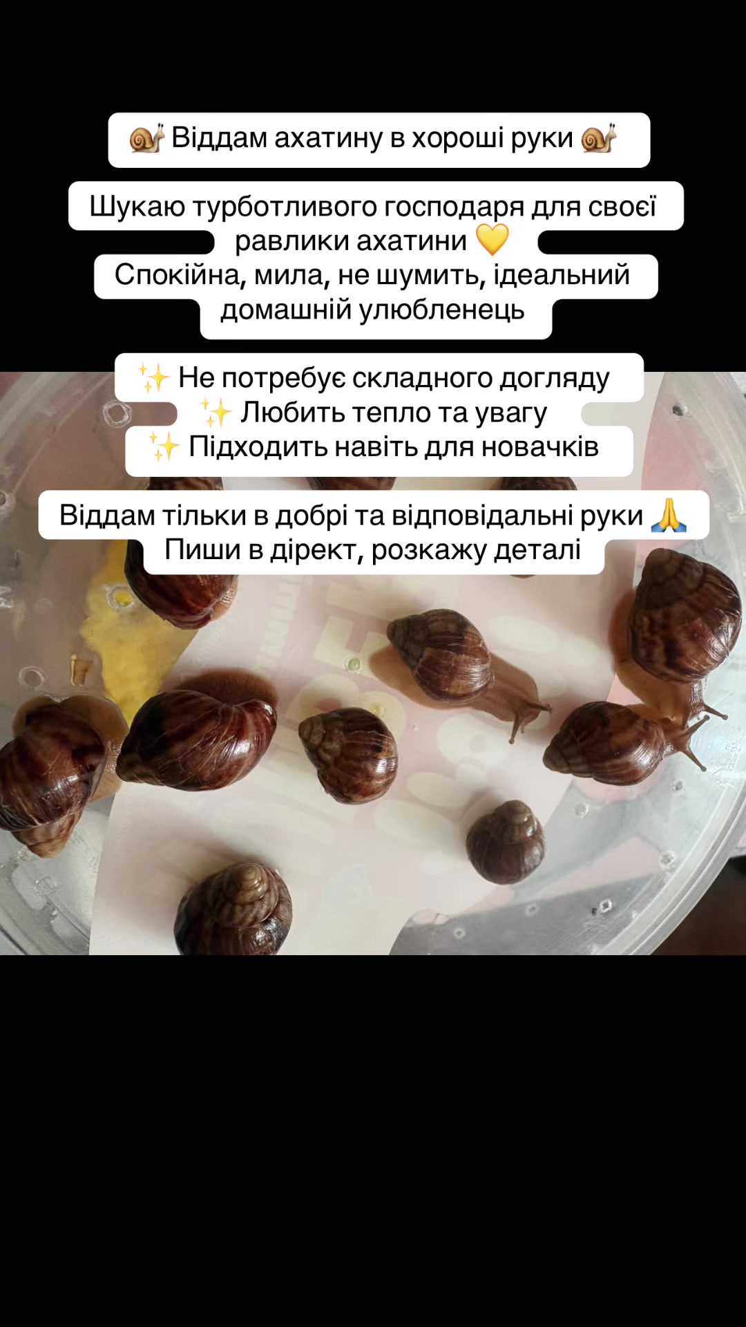 @Masha