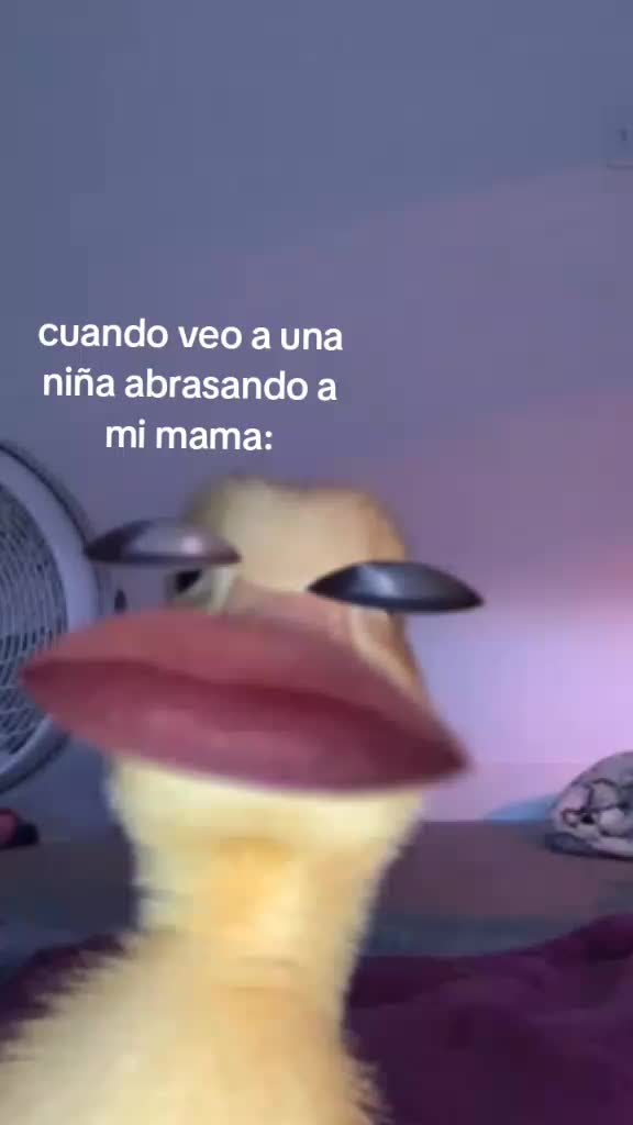 @Ximena V&aacute;zquez