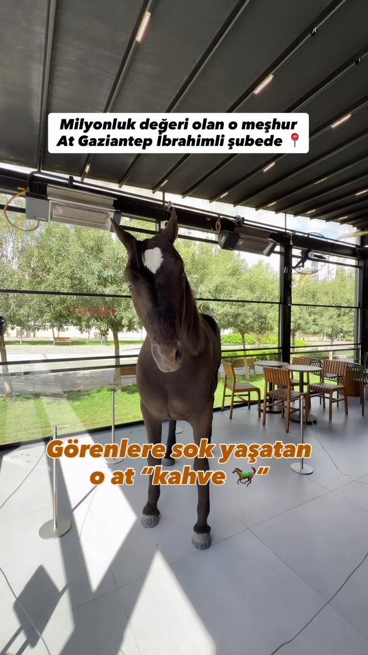 @arzu_homee