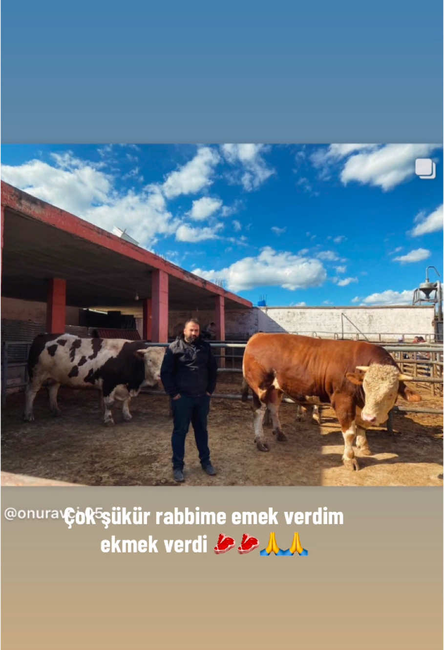@ONUR AVCI