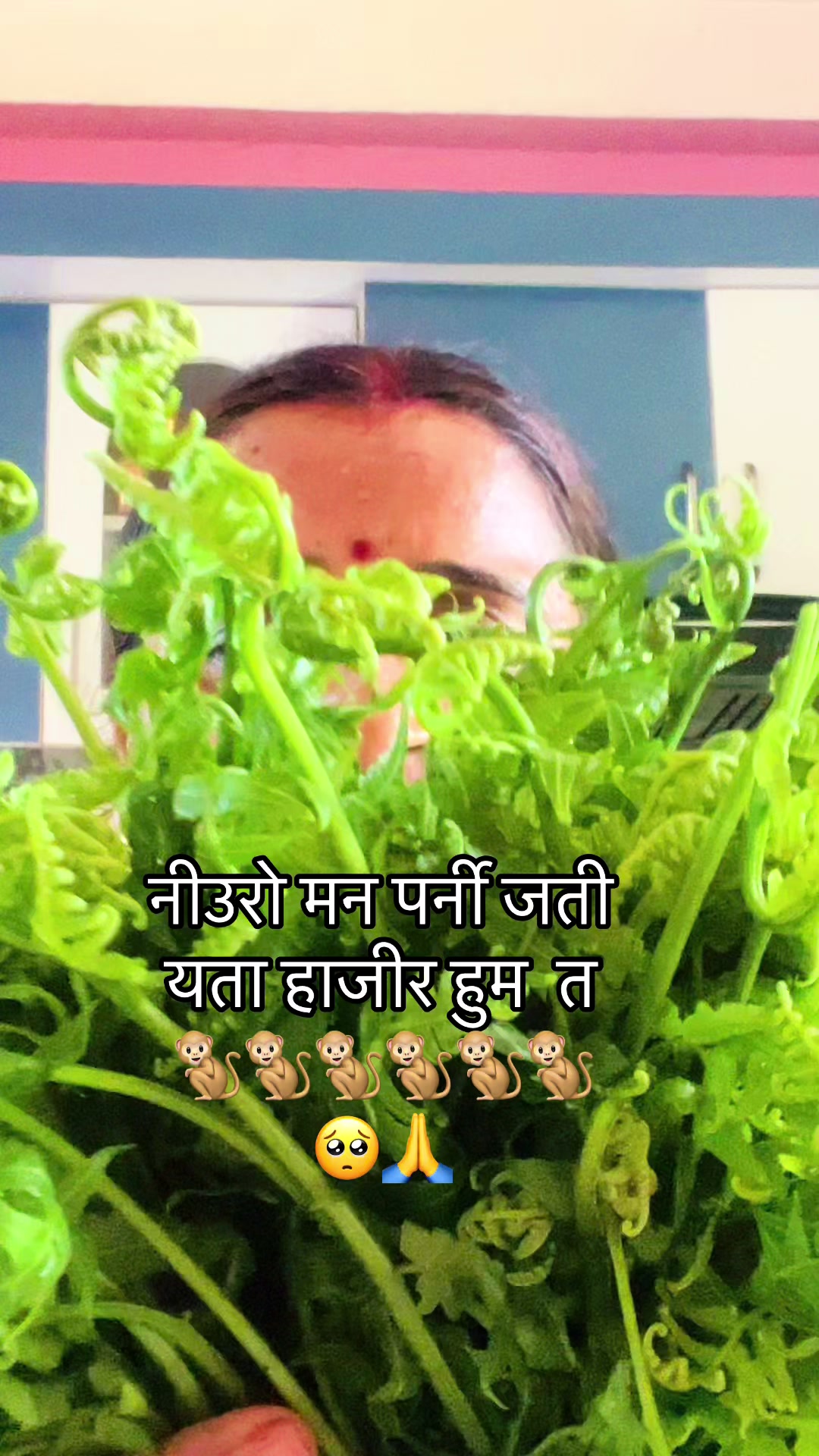 @Rachana