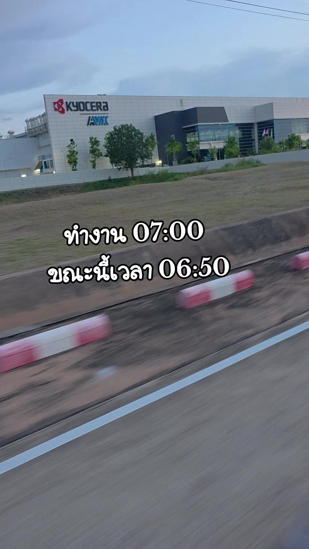@เหมียว🐱