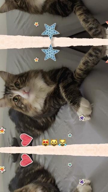 @🇲🇽🐈_Mariel_🐈⬛🇺🇸