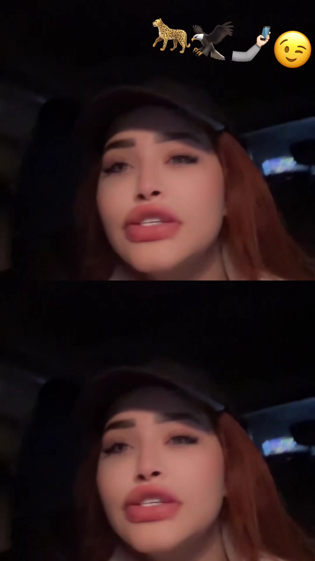 @radwamohameds🦅👑🐆