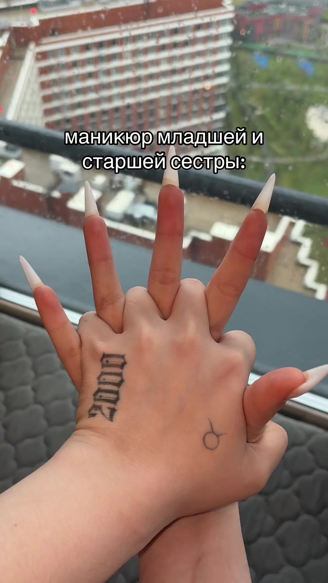 @meow