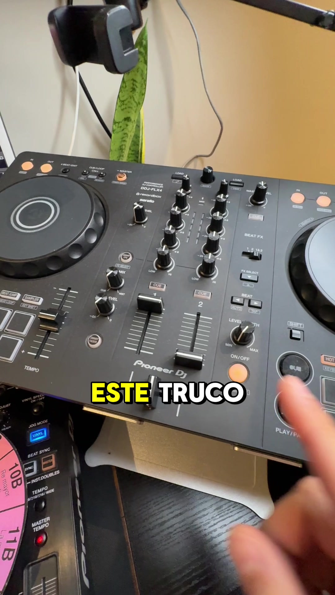 @djgym.pro