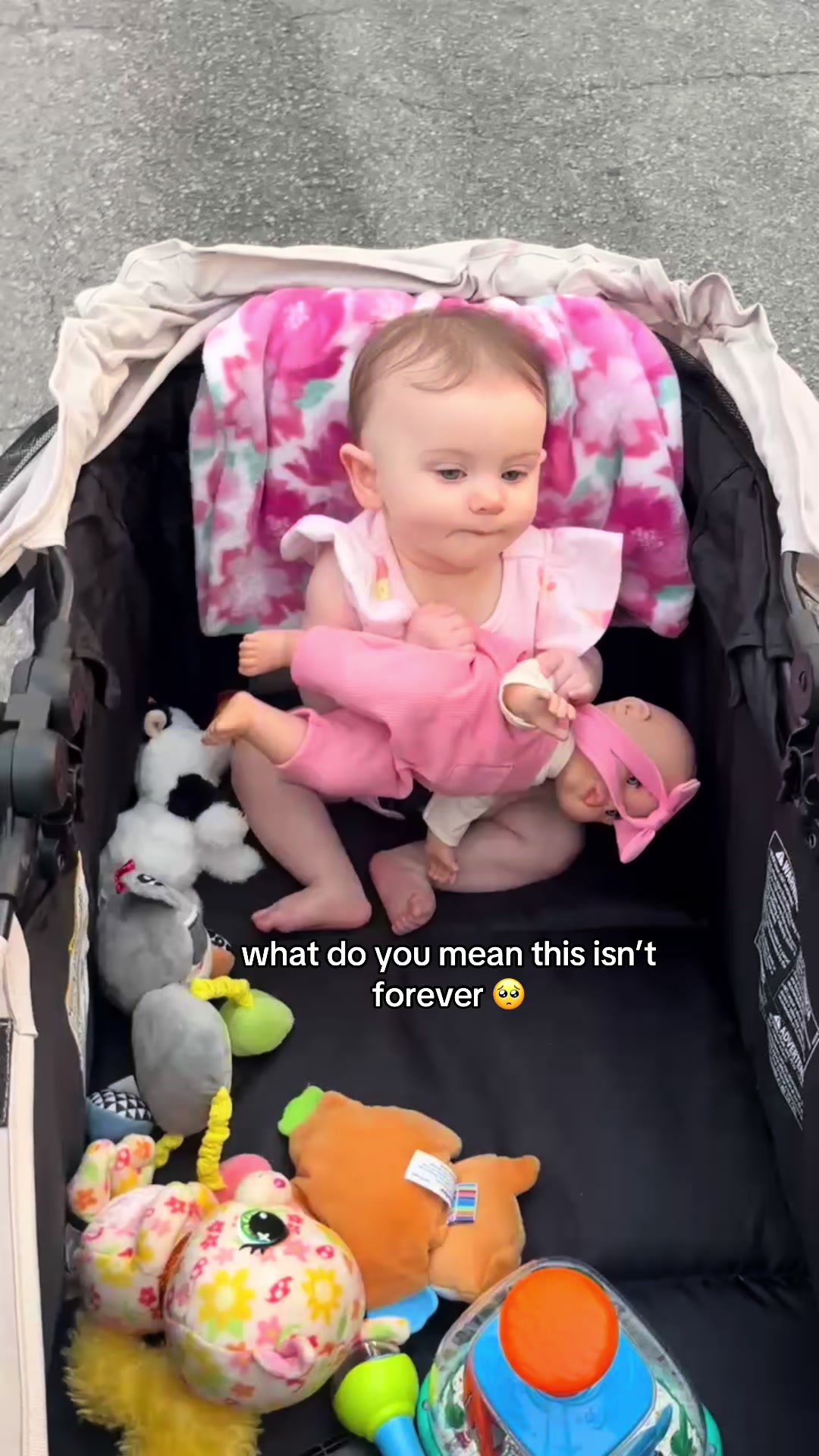 @kadence elizabeth