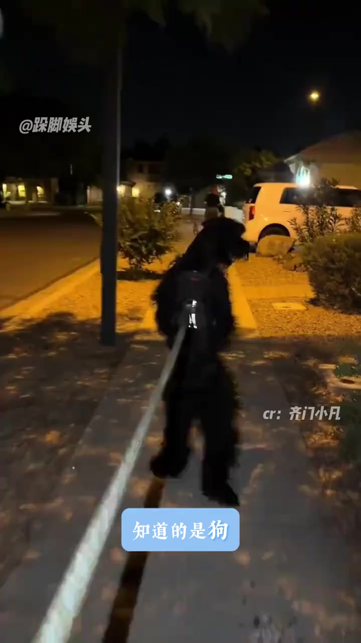 @林京一