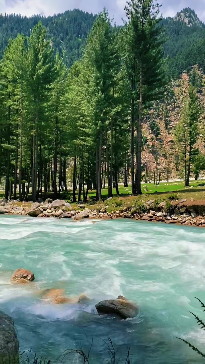 @شایان آفریدی 🌹🌹،🇵🇰🇵🇰