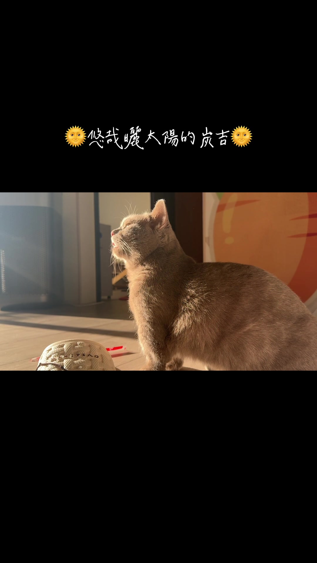 @炭吉喵