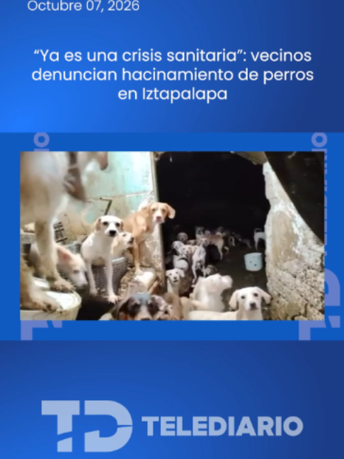 @TelediarioMx