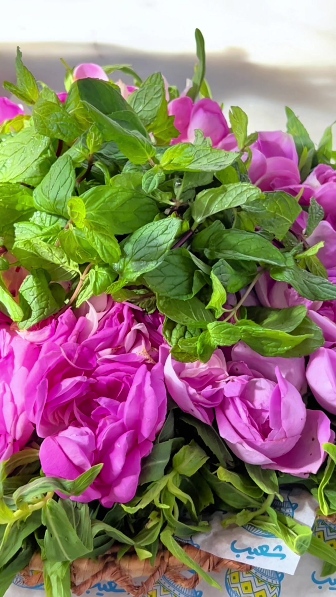 @شعيب