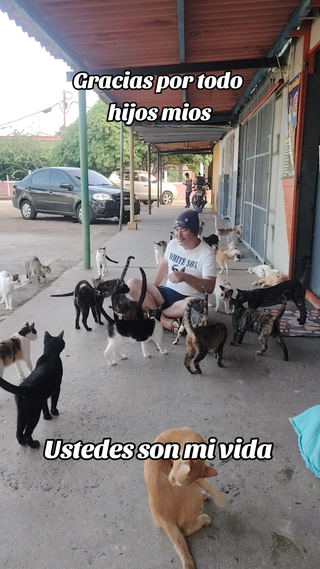 @Patitas y Garritas en la Calle