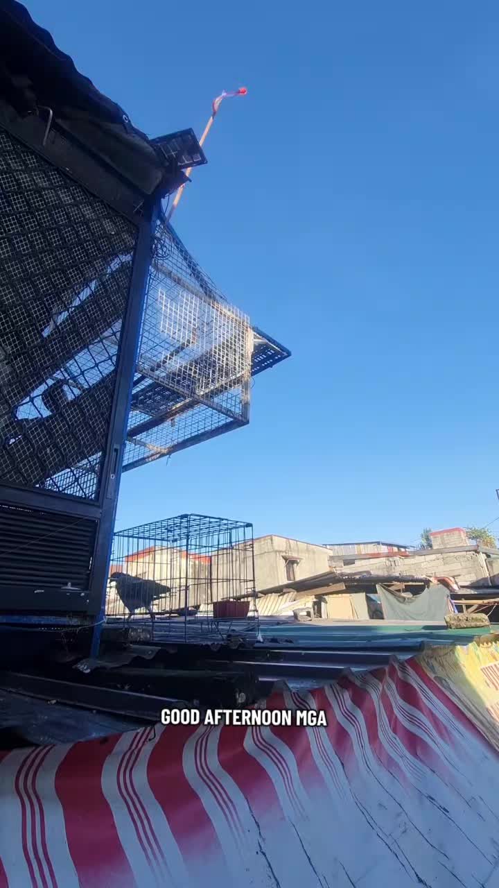 @MASTER'JEFFLOFT