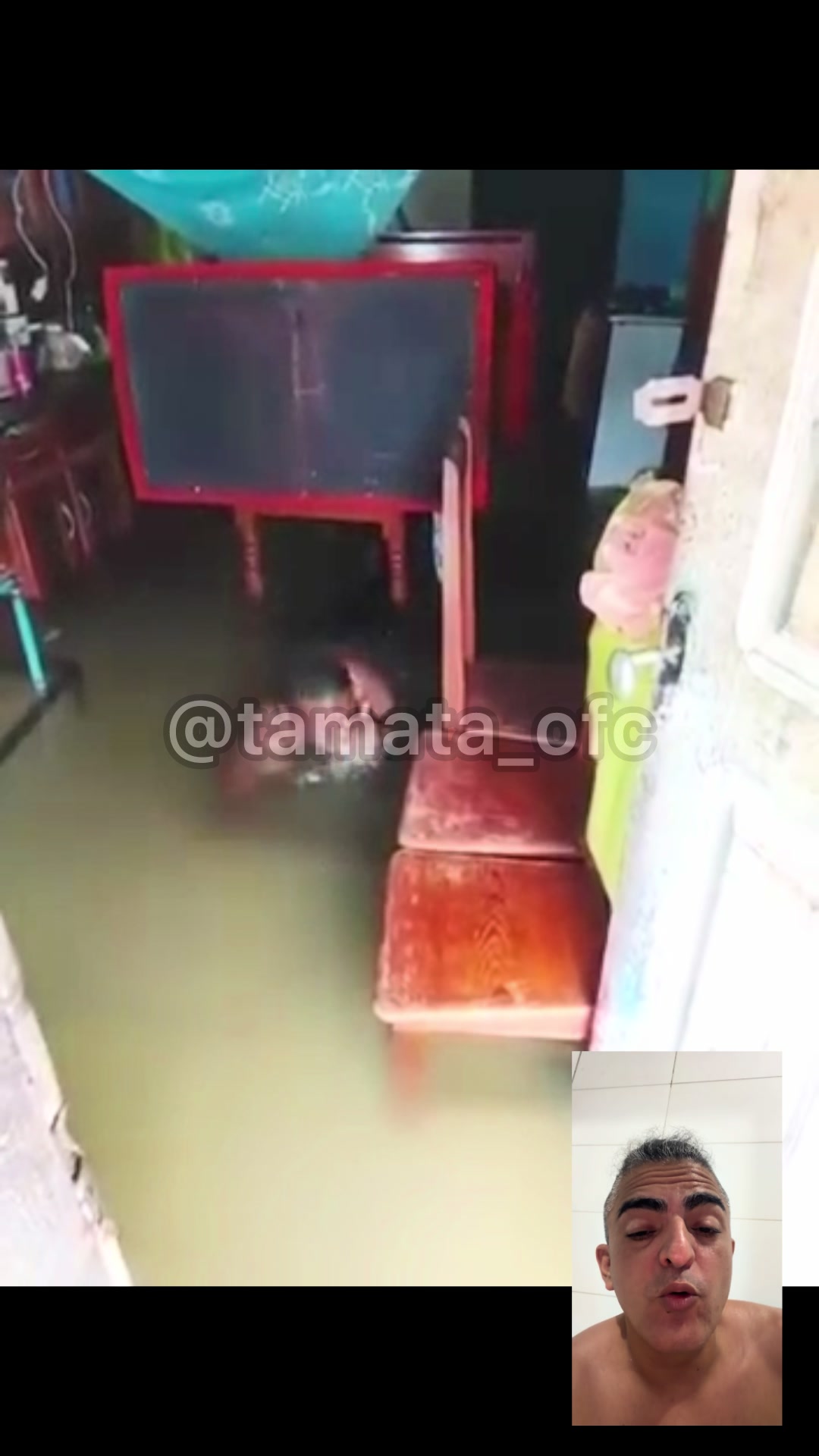 @TAMAT&Aacute;