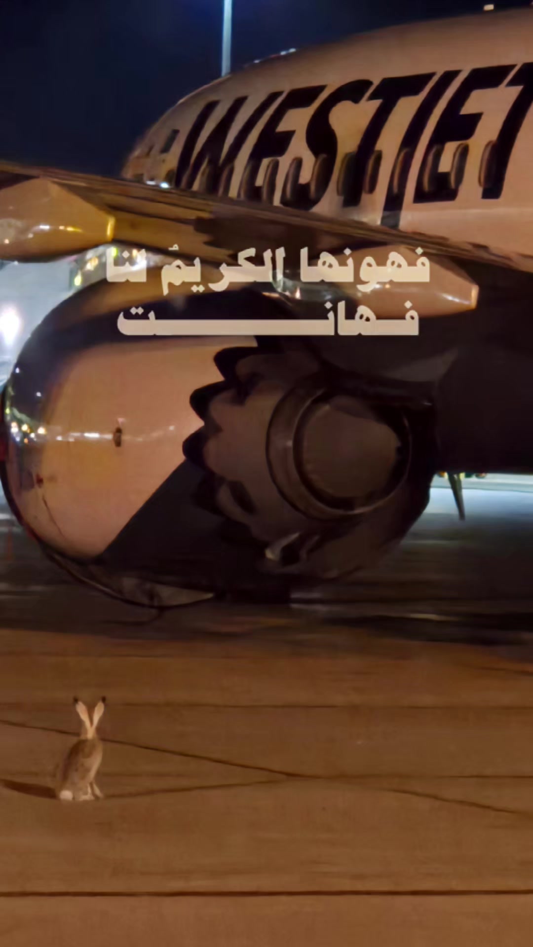 @القرآن الكريم 1