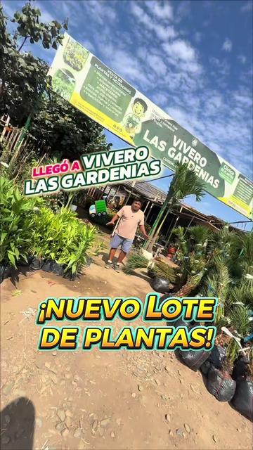 @VIVERO LAS G🦁RDENIAS|TRUJILLO