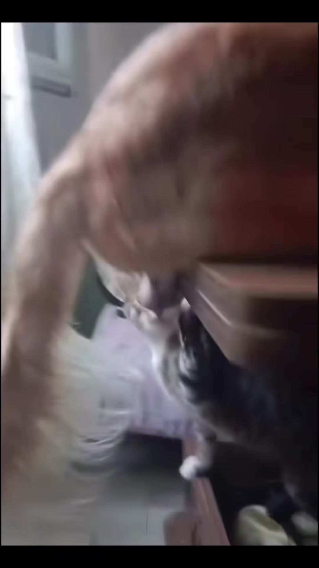 @nguynyntrang998