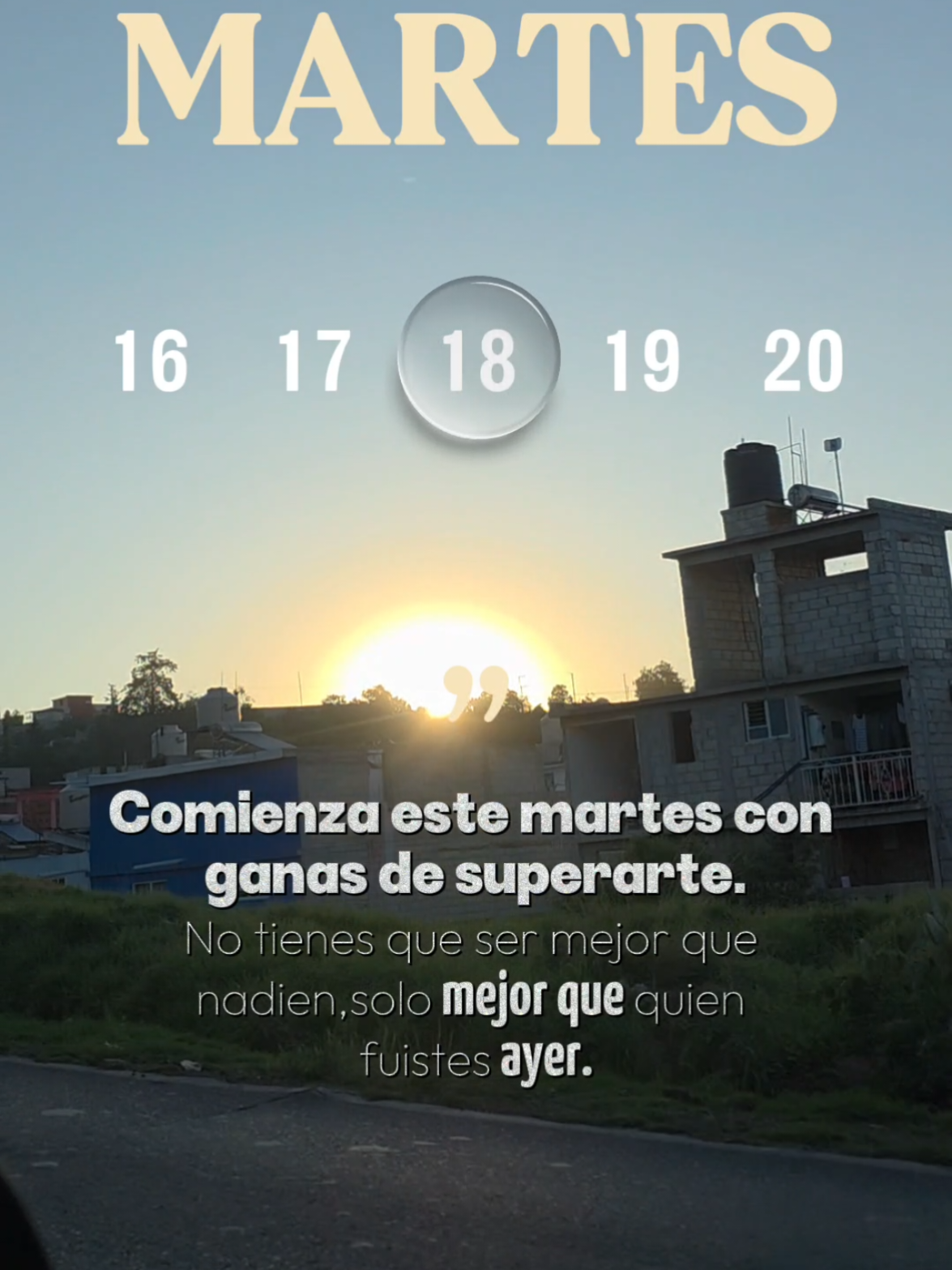 @leo_goncas