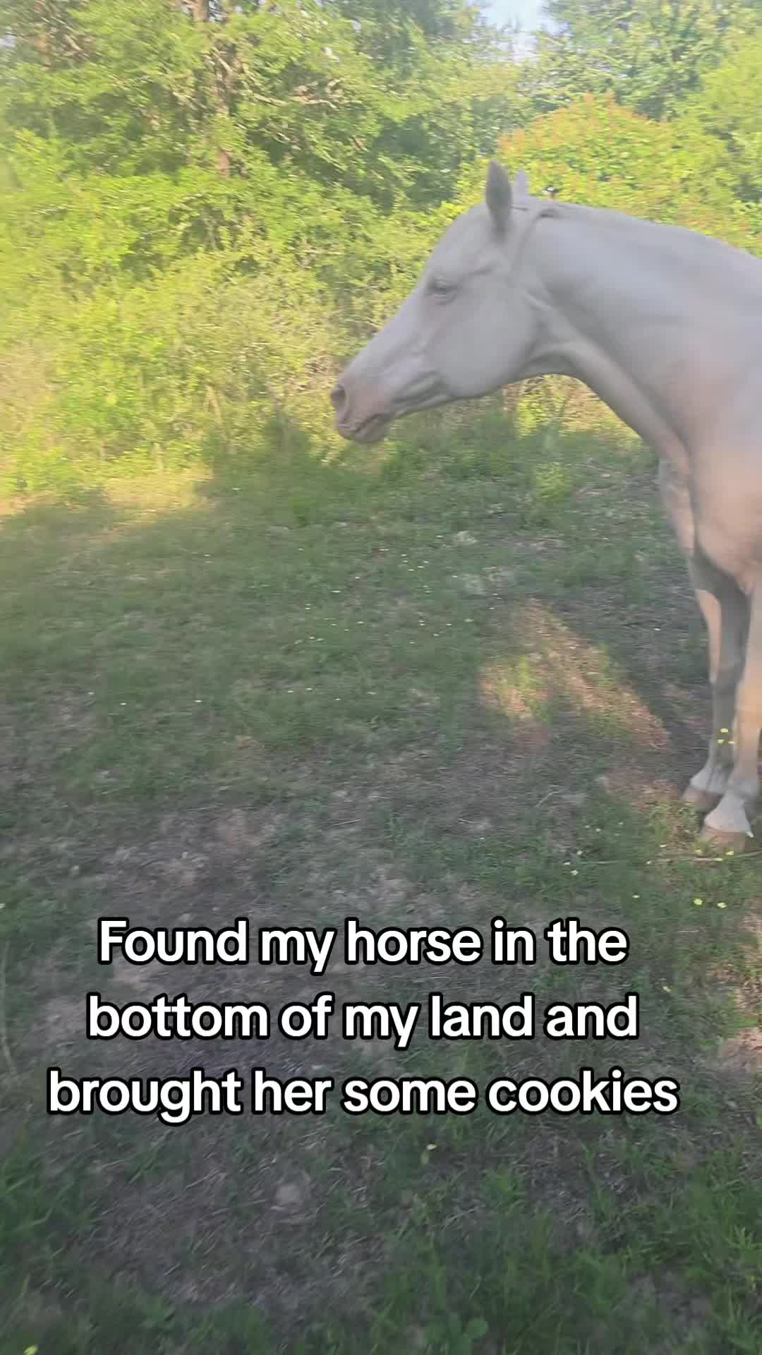 @Audra