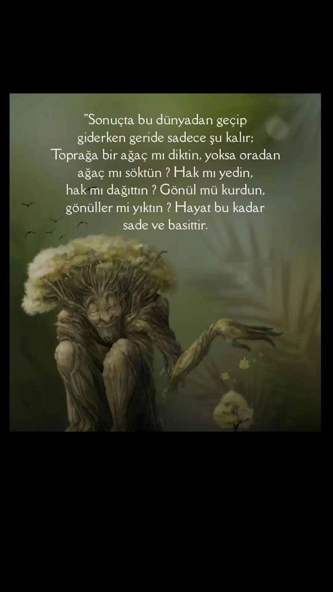 @Paşagönlüm