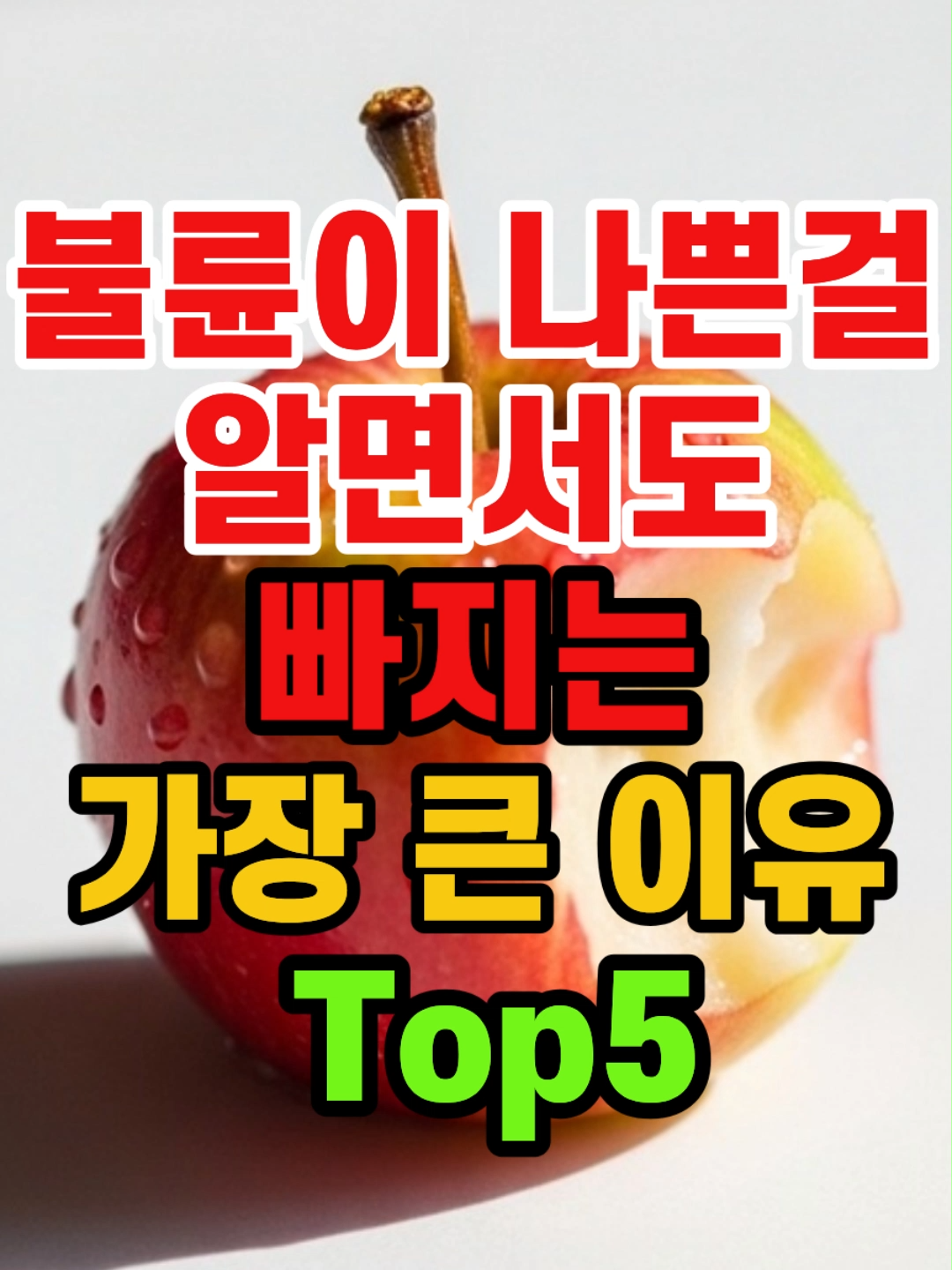 @달밤시네마