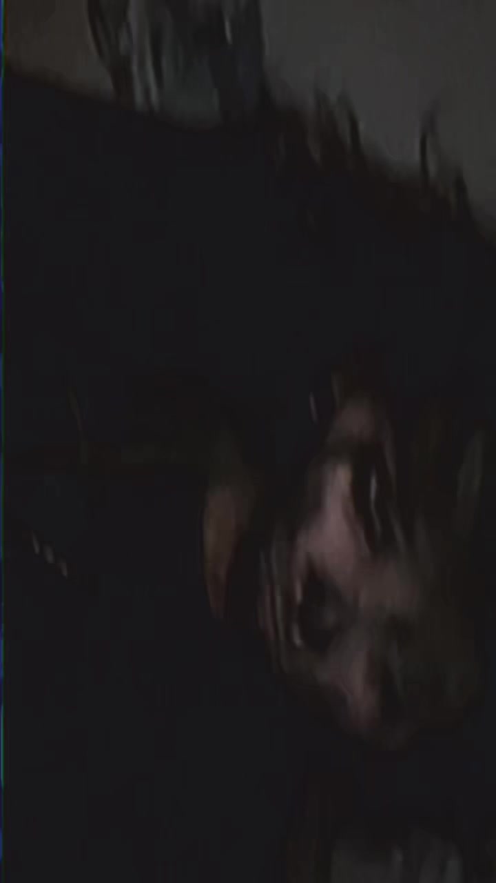 @anselll