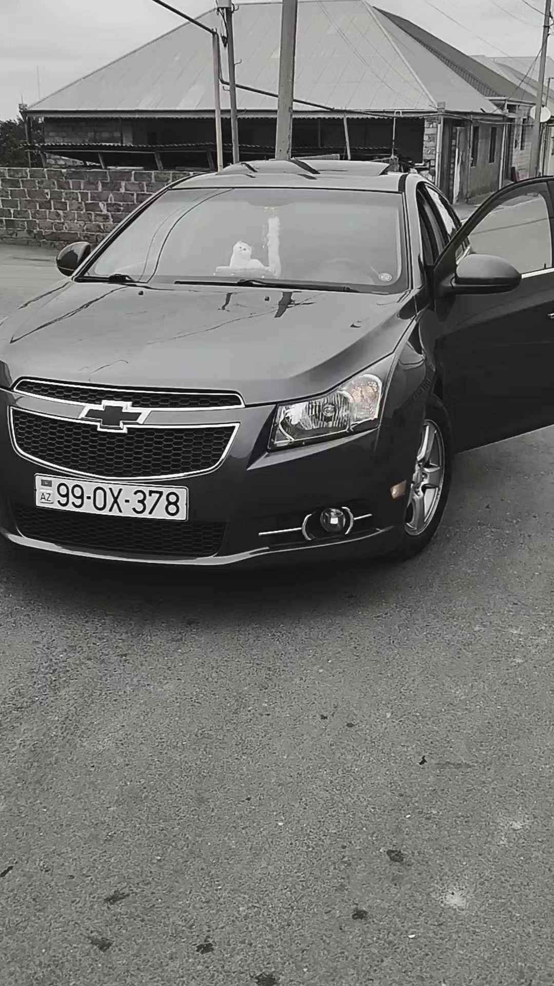 @⚜️ Елшен_025⚜️