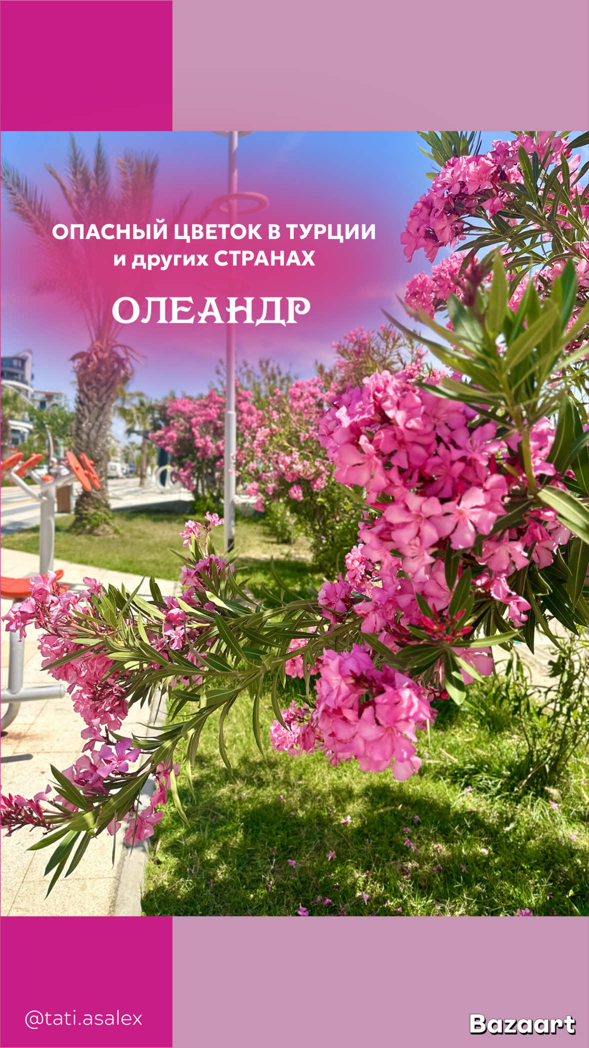 @Татьяна в Турции 🇹🇷