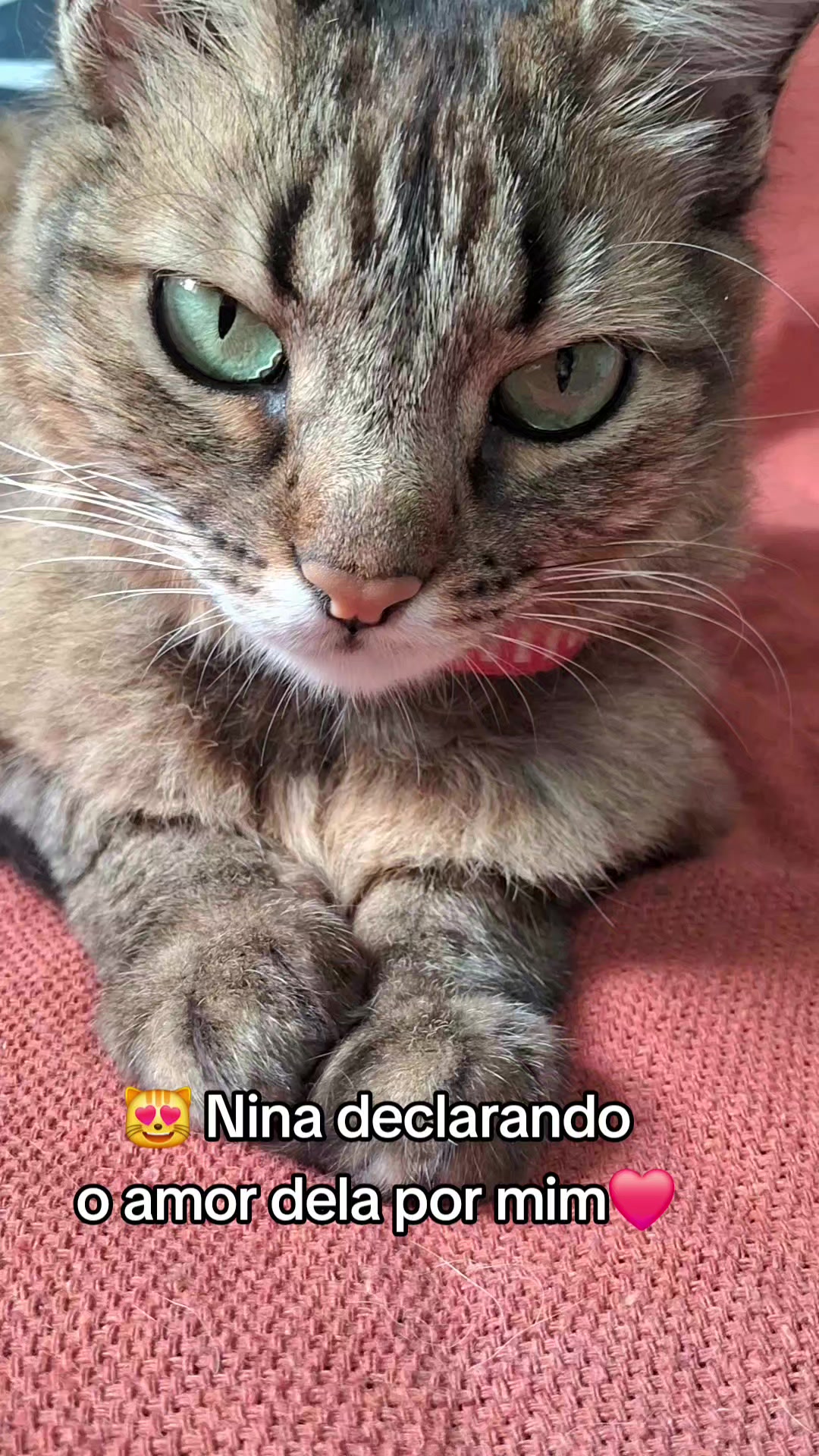 @lua