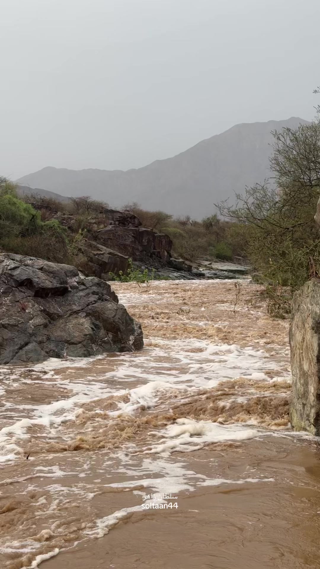 @سلطان زاهر