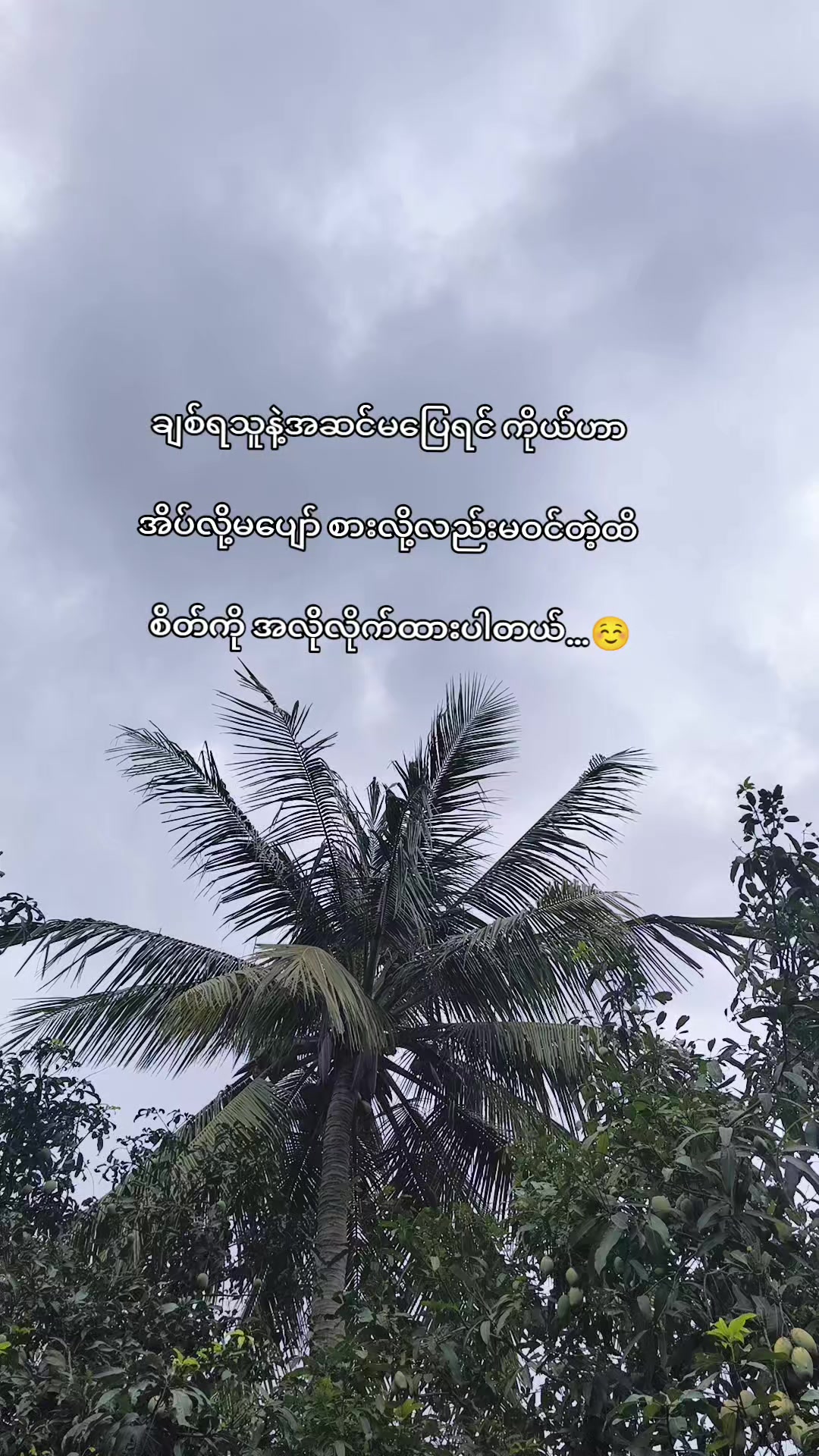 @🍃အမ်"Bi🍀