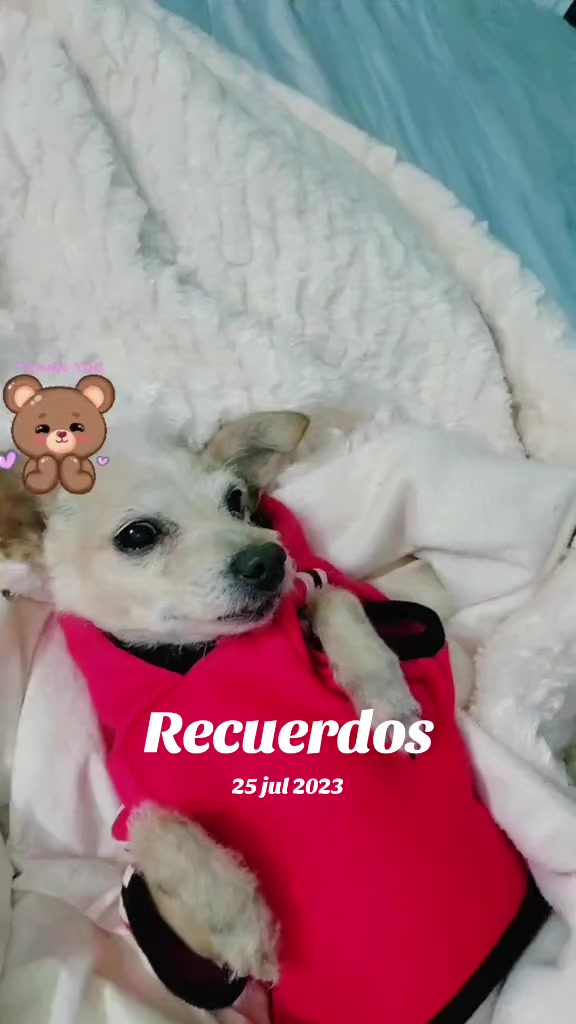 @nati