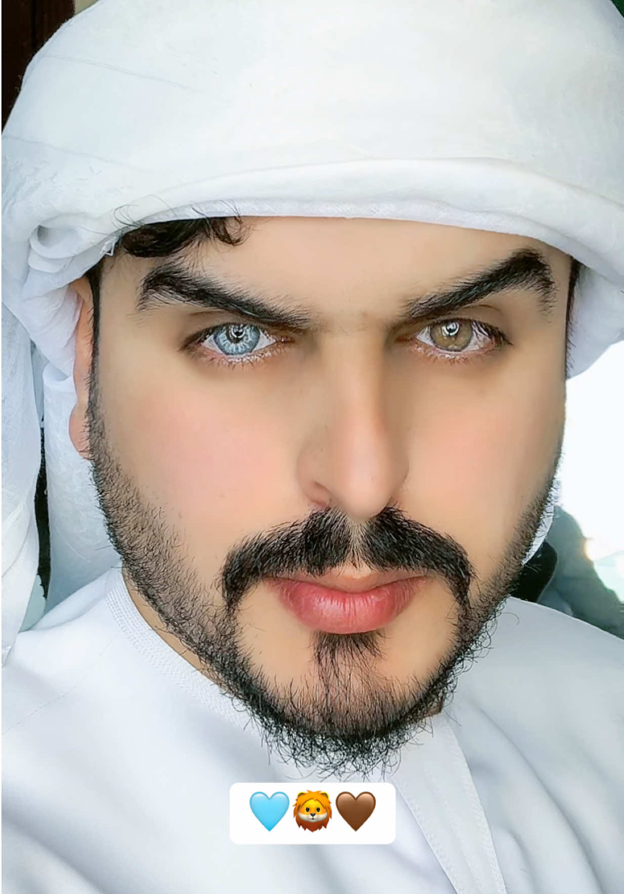 @🇦🇪محمود الزعبي🦅