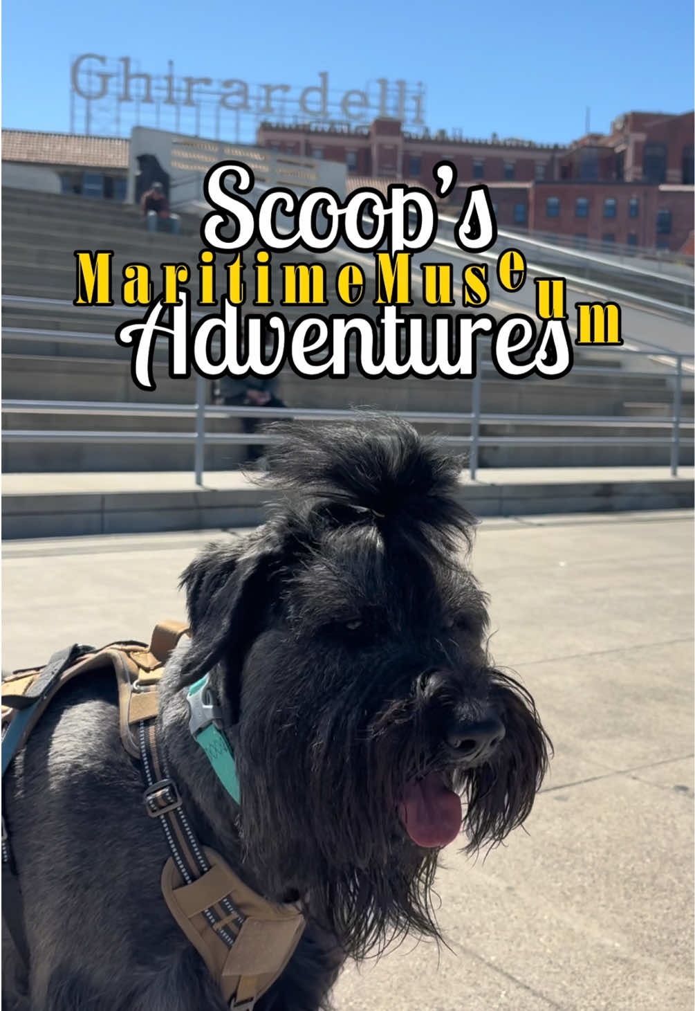 @scoopthegiant