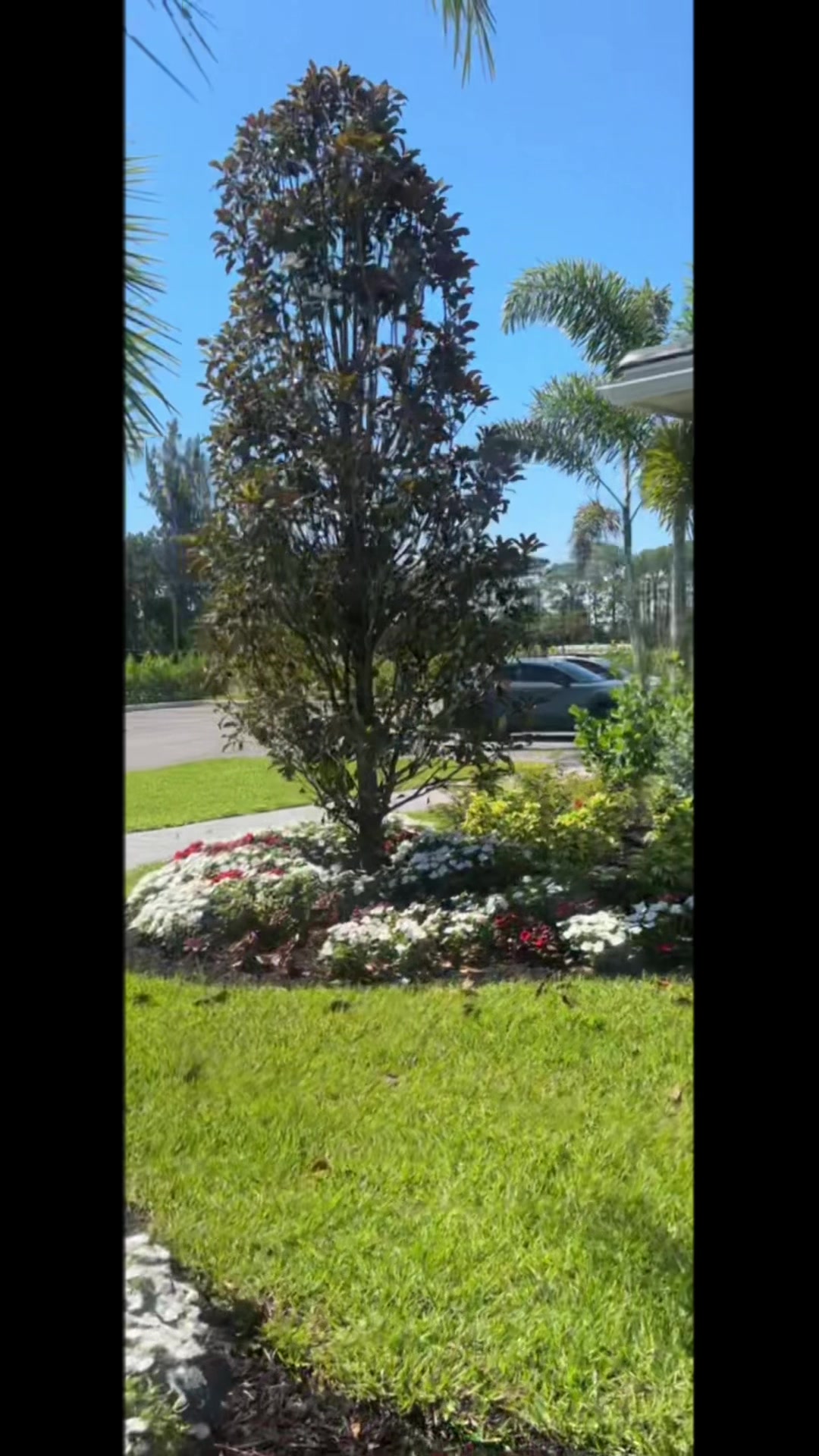 @Kayai Graham(Realtor)