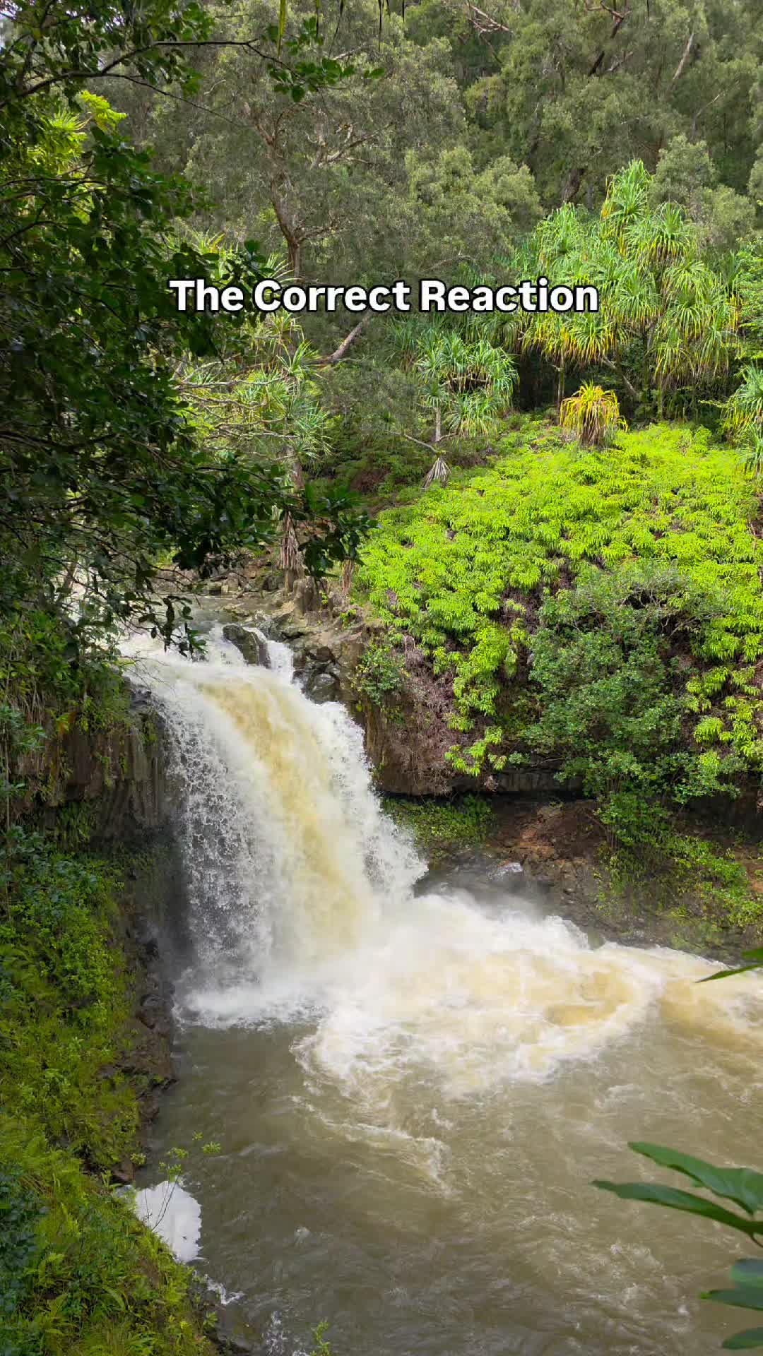 @Hike Maui