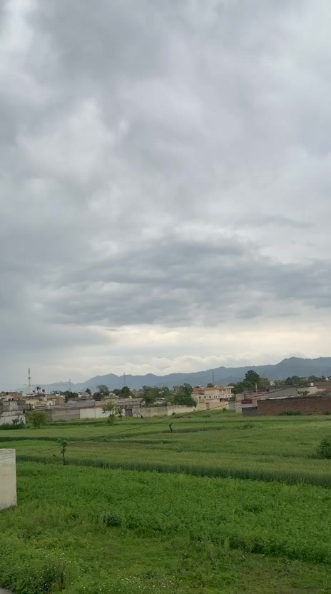@Shumaila Akhtar