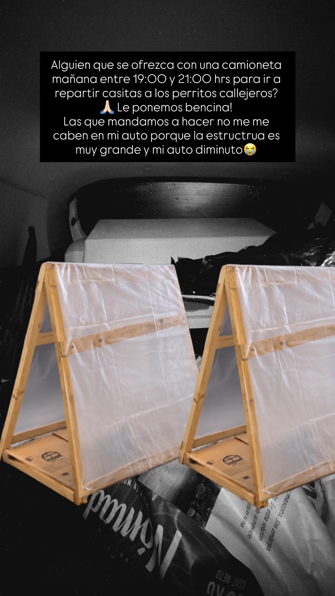 @Colomba budnik