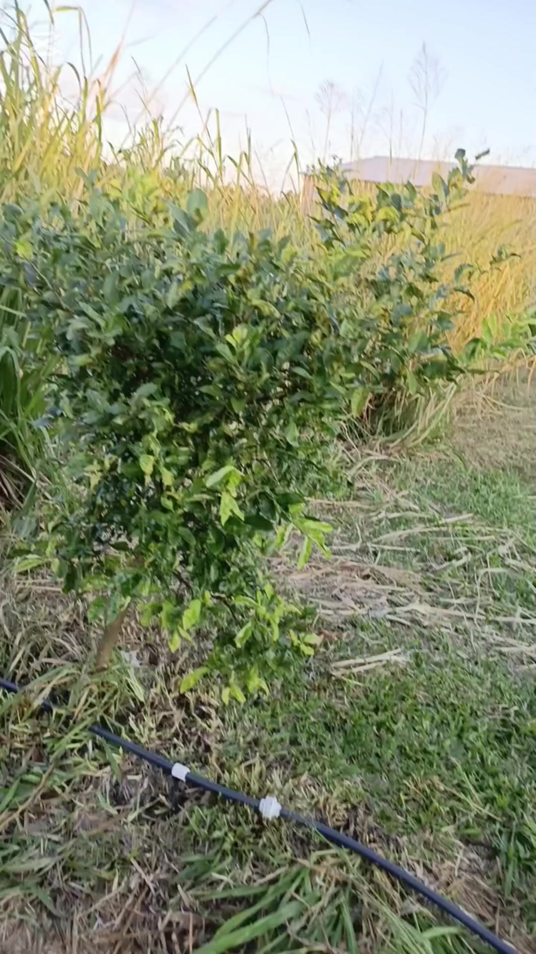 @✨ Mami de Dos angelitos 🕊️