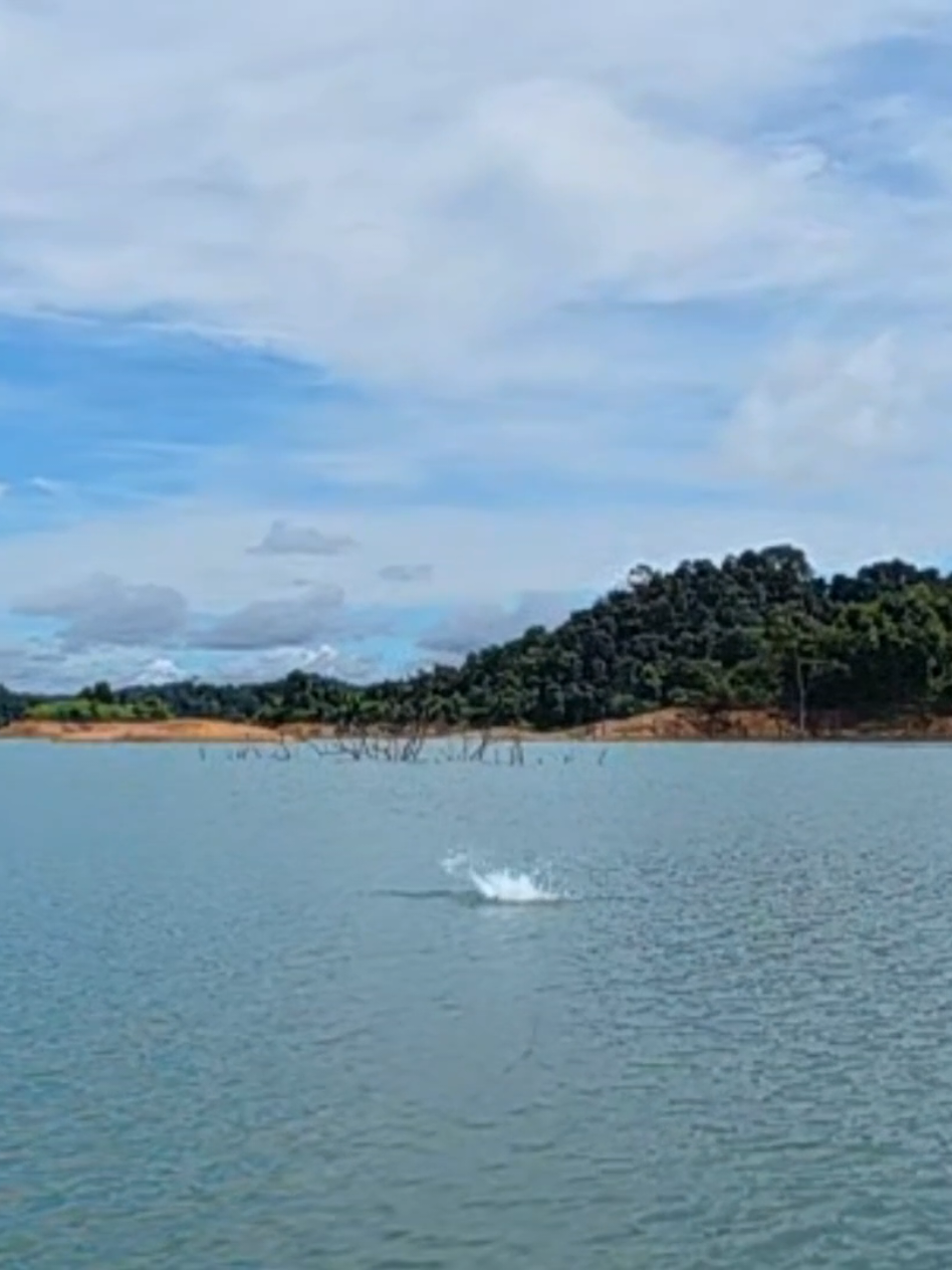 @Damz Strike Fishing