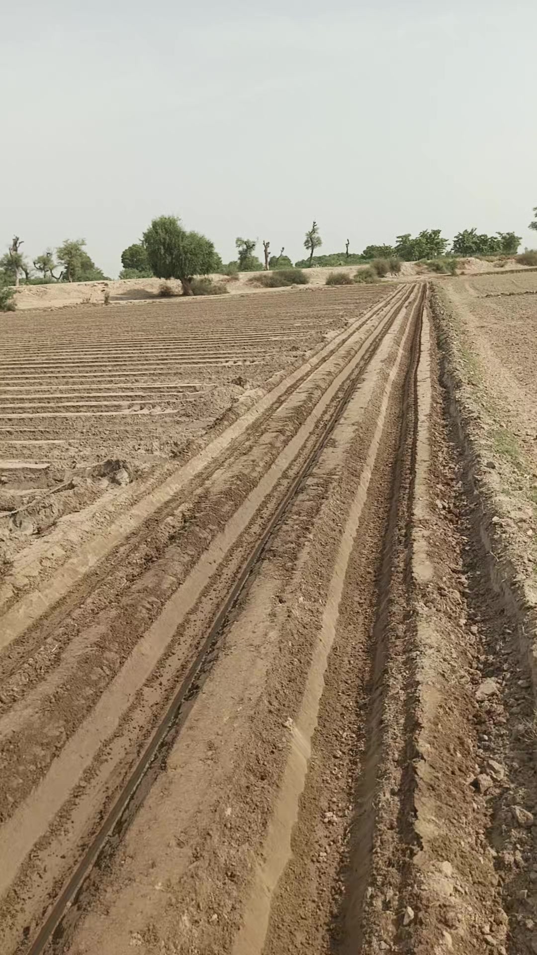 @🔱آفتاب چوہان302⚜️🚩