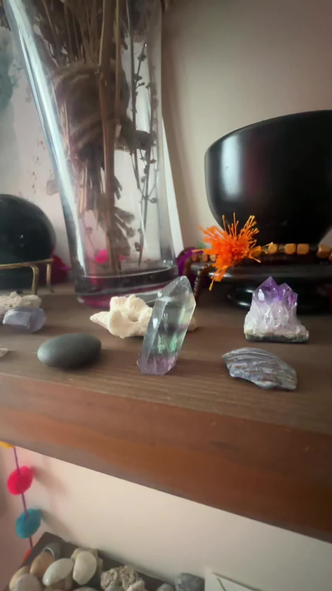 @Biol&oacute;gica
