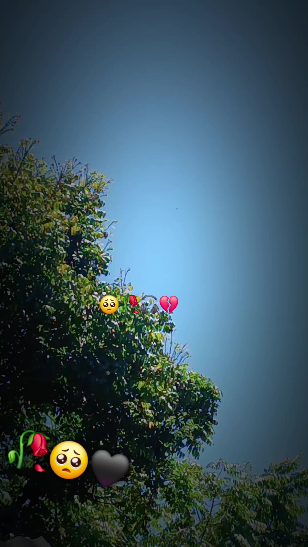 @gonsales 🥰