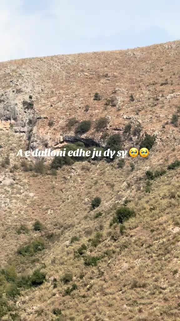 @STANI_COBANIT😍