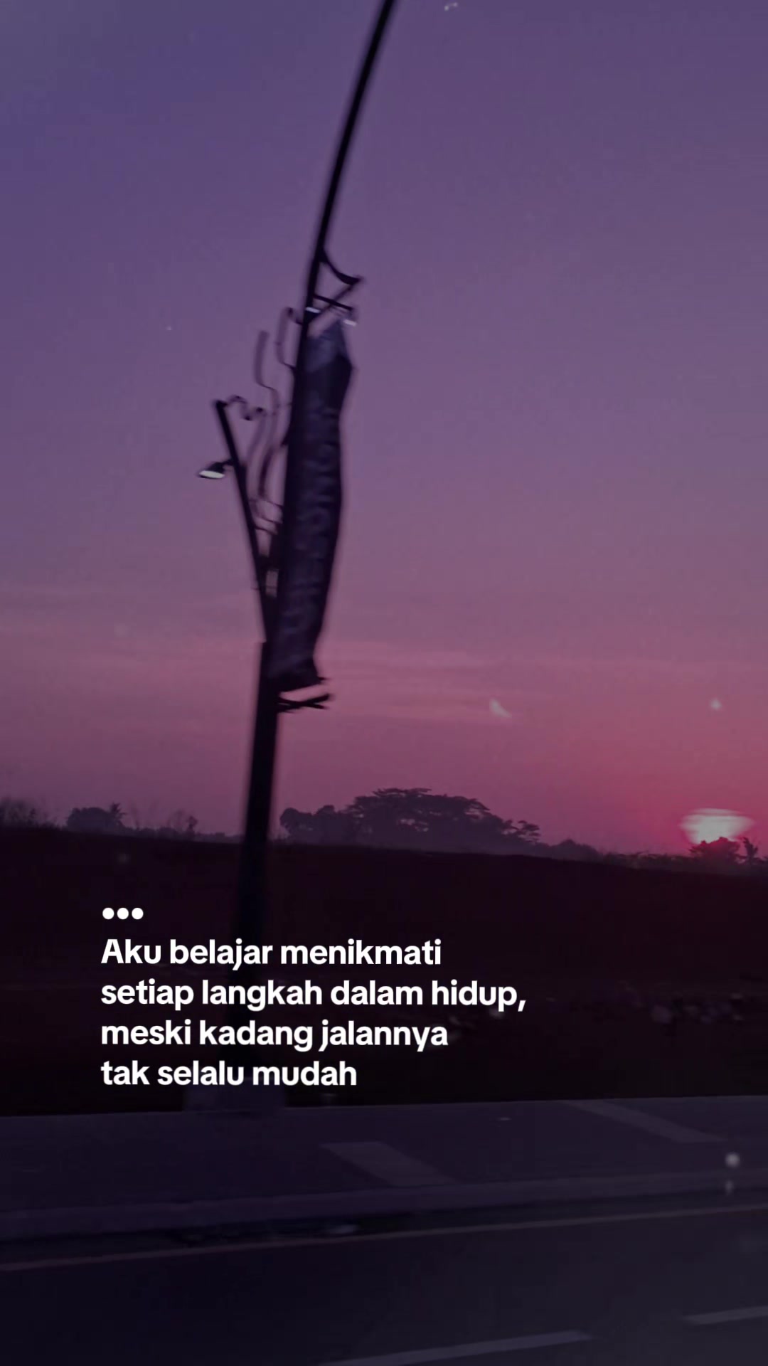 @cerel13shop