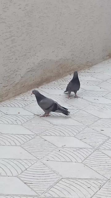 @Kenan Öztürk